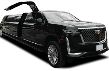 Stretch Limousine  16P